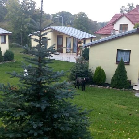 Domki Letniskowe W Wapnicy Villa Lubin  Exteriör bild